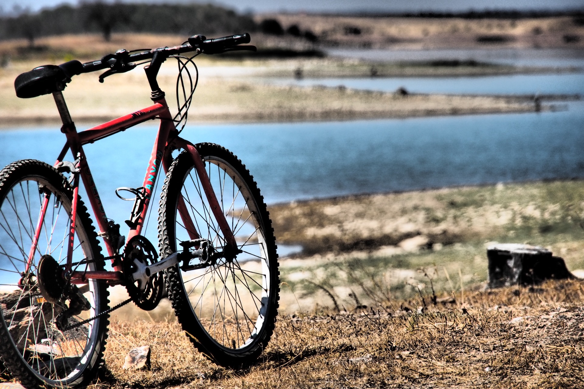 Trilogia dos SENTIDOS